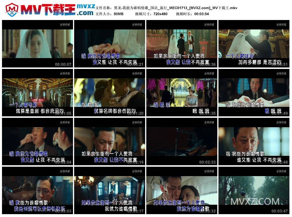 黑龙-我能为谁唱情歌_国语_流行_MEC01713